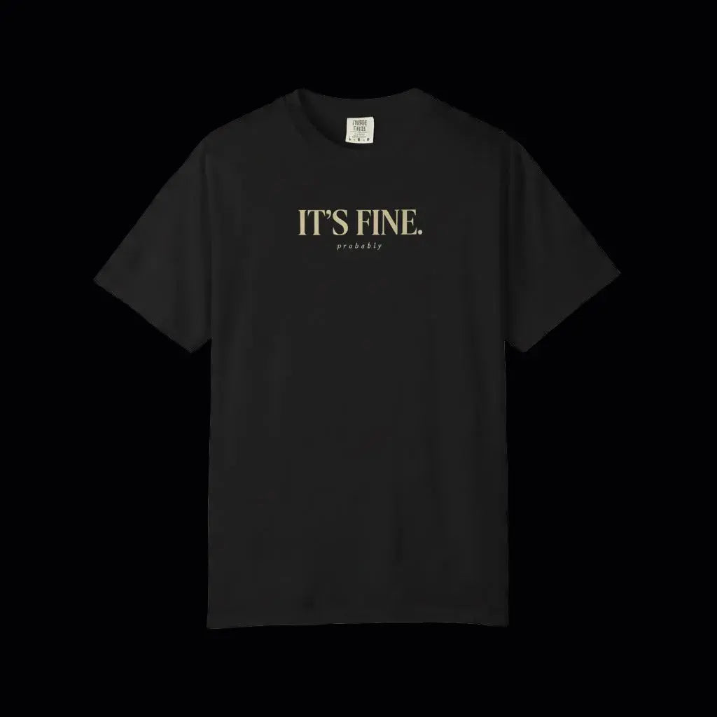 IT'S FINE. (probably) graphic tee in Black — RAW CIRCUIT minimal typography shirt